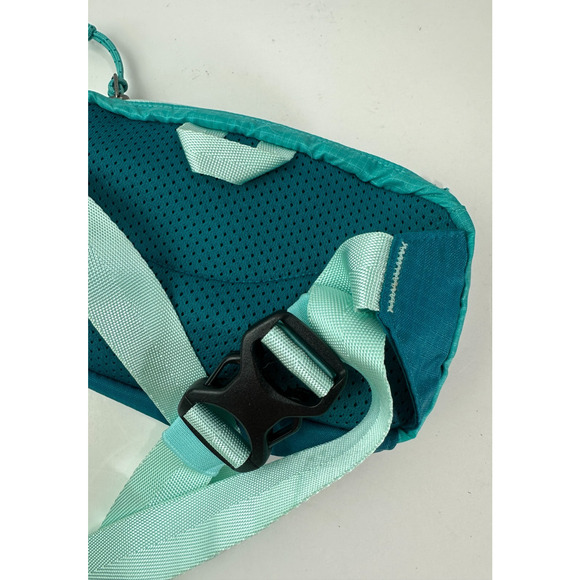 Patagonia Ultralight Black Hole Mini Waist Teal Blue Belt Bag Fanny Pack One Sz - Picture 6 of 8